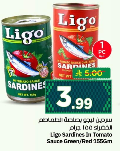 Tomato available at نستو in مملكة العربية السعودية, السعودية, سعودية - الأحساء‎