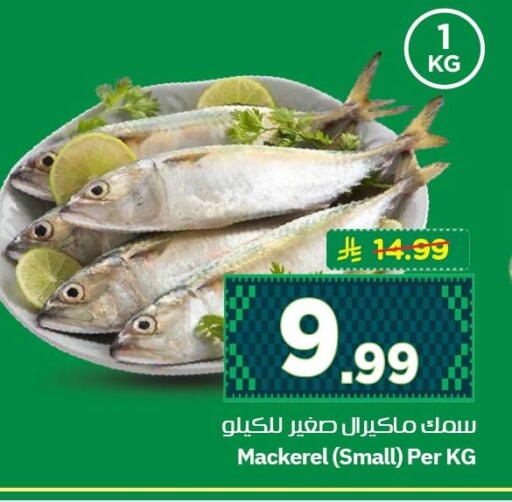 available at نستو in مملكة العربية السعودية, السعودية, سعودية - الأحساء‎