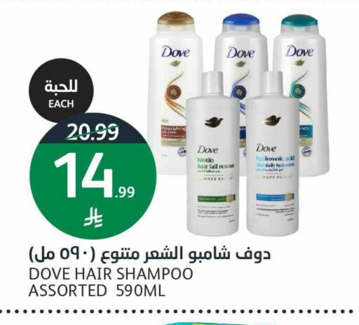 available at أسواق الجزيرة in مملكة العربية السعودية, السعودية, سعودية - الرياض