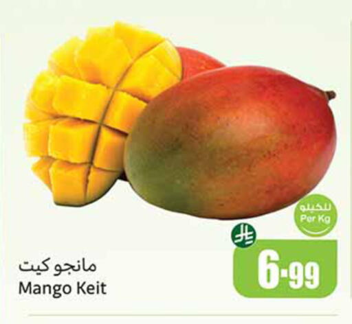 Mango available at أسواق عبد الله العثيم in مملكة العربية السعودية, السعودية, سعودية - حائل‎