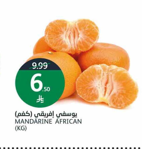 available at أسواق الجزيرة in مملكة العربية السعودية, السعودية, سعودية - الرياض