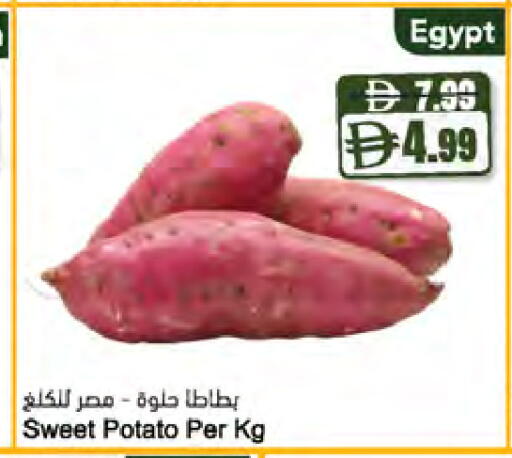 Sweet Potato from Egypt available at المايا سوبرماركت in الإمارات العربية المتحدة , الامارات - ٱلْعَيْن‎