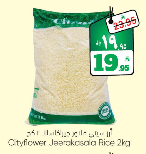 available at City Flower in KSA, Saudi Arabia, Saudi - Sakaka