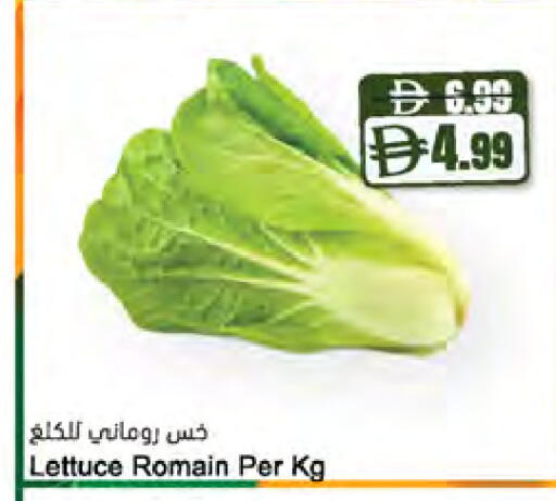 Lettuce available at المايا سوبرماركت in الإمارات العربية المتحدة , الامارات - ٱلْعَيْن‎