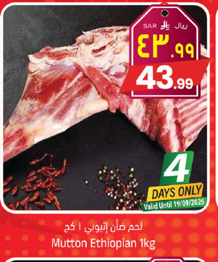 available at ستي فلاور in مملكة العربية السعودية, السعودية, سعودية - حائل‎