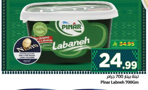 available at نستو in مملكة العربية السعودية, السعودية, سعودية - الجبيل‎