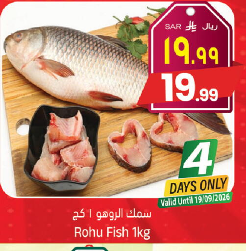 available at ستي فلاور in مملكة العربية السعودية, السعودية, سعودية - الجبيل‎