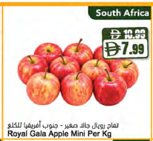 Apple from South Africa available at المايا سوبرماركت in الإمارات العربية المتحدة , الامارات - ٱلْعَيْن‎