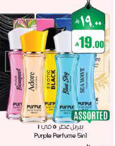 available at ستي فلاور in مملكة العربية السعودية, السعودية, سعودية - ينبع