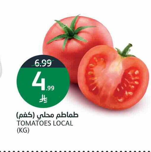 Tomato available at أسواق الجزيرة in مملكة العربية السعودية, السعودية, سعودية - الرياض