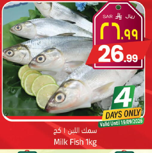 available at ستي فلاور in مملكة العربية السعودية, السعودية, سعودية - الجبيل‎
