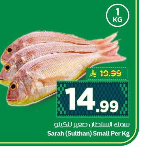 available at نستو in مملكة العربية السعودية, السعودية, سعودية - الأحساء‎