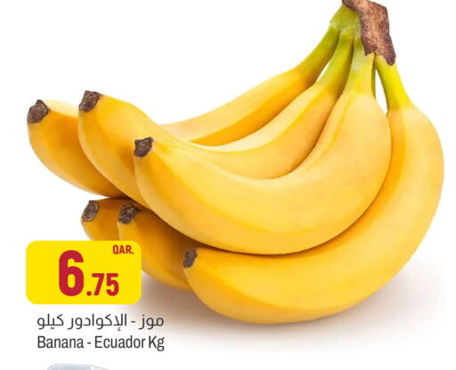 Banana from Ecuador available at Aswaq Al Malaki Fresh in Qatar - Doha