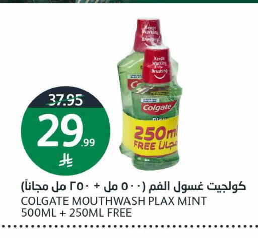 Mint available at أسواق الجزيرة in مملكة العربية السعودية, السعودية, سعودية - الرياض