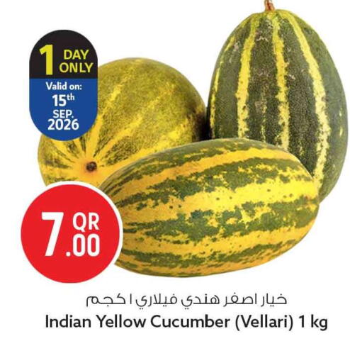 Cucumber from India available at Safari Hypermarket in Qatar - Doha
