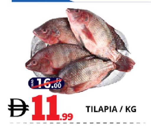 available at EXPRESS AL MADEENA HYPERMARKET LLC in UAE - Abu Dhabi