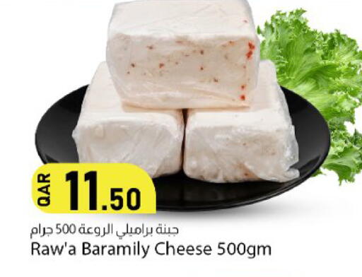 available at دانا ماركت in قطر - الشحانية