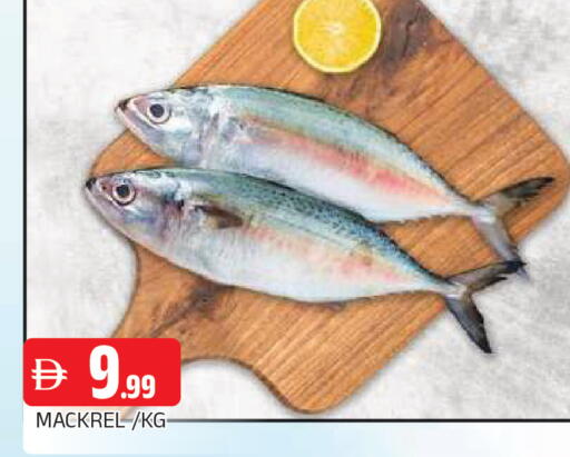 available at AL MADINA in UAE - Sharjah / Ajman