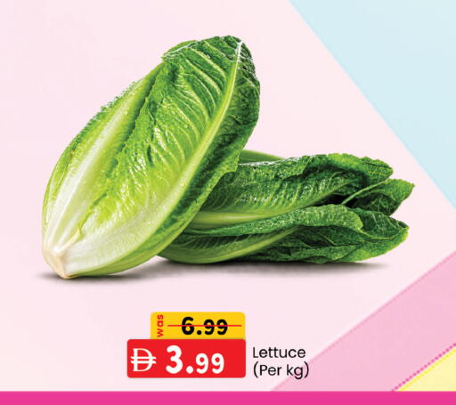 Lettuce available at صفا اكسبريس سوبرماركت in الإمارات العربية المتحدة , الامارات - ٱلْعَيْن‎