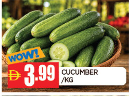 Cucumber available at AL MADINA in UAE - Sharjah / Ajman