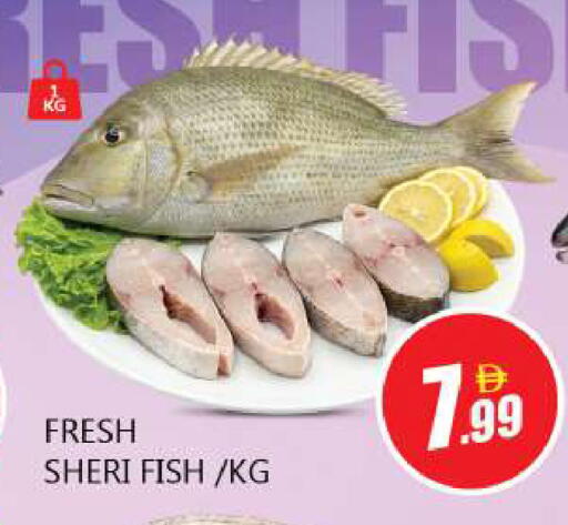 available at Souk Al Mubarak Hypermarket in UAE - Sharjah / Ajman