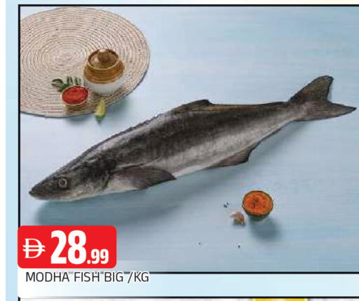 available at AL MADINA in UAE - Sharjah / Ajman