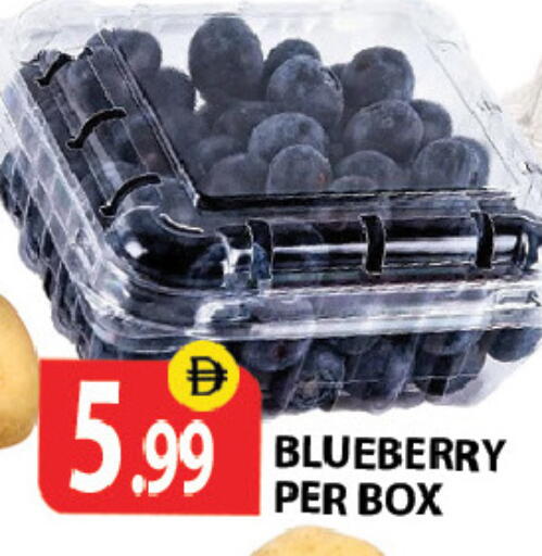 Blueberry BlueBerry available at زين مارت سوبرماركت in الإمارات العربية المتحدة , الامارات - رَأْس ٱلْخَيْمَة