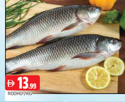 available at AL MADINA in UAE - Sharjah / Ajman