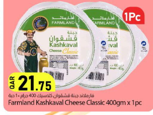 available at دانا ماركت in قطر - الشحانية