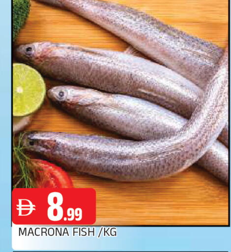 available at AL MADINA in UAE - Sharjah / Ajman