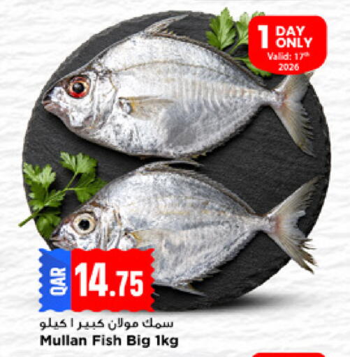 available at Marza Hypermarket in Qatar - Doha
