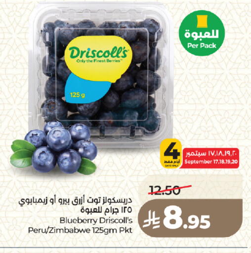 Blueberry BlueBerry from Zimbabwe available at LULU Hypermarket in KSA, Saudi Arabia, Saudi - Medina