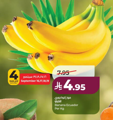 Banana from Ecuador available at لولو هايبرماركت in مملكة العربية السعودية, السعودية, سعودية - الخبر‎