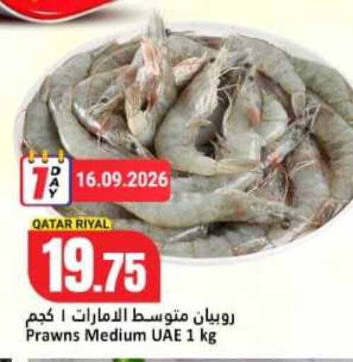 available at دانة هايبرماركت in قطر - الخور