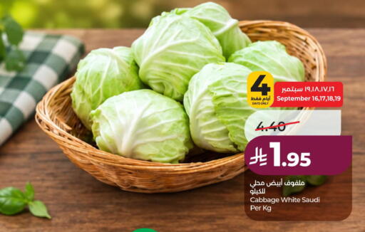 Cabbage from Saudi Arabia available at لولو هايبرماركت in مملكة العربية السعودية, السعودية, سعودية - الجبيل‎