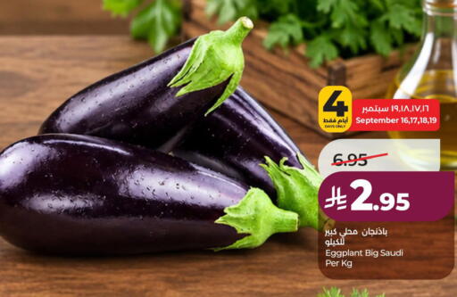 Eggplant from Saudi Arabia available at لولو هايبرماركت in مملكة العربية السعودية, السعودية, سعودية - الجبيل‎