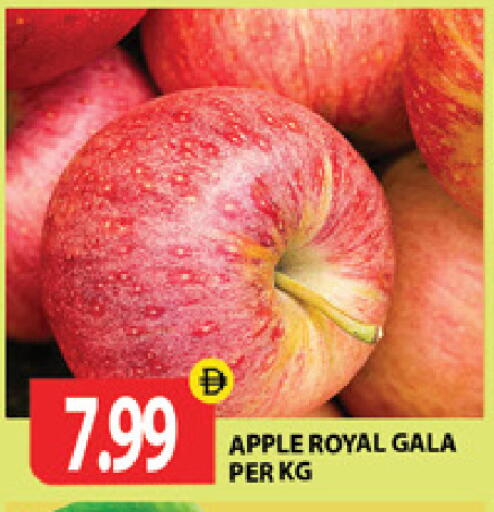 Apple available at جلف هايبرماركت ذ.م.م in الإمارات العربية المتحدة , الامارات - رَأْس ٱلْخَيْمَة