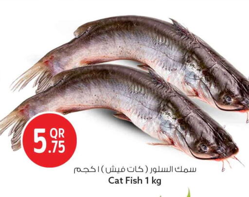 available at Safari Hypermarket in Qatar - Al Wakra