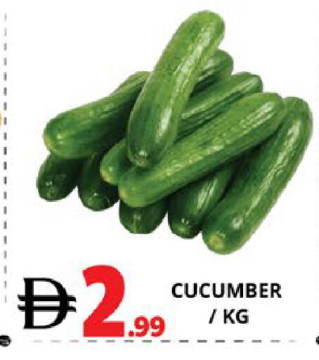 Cucumber available at EXPRESS AL MADEENA HYPERMARKET LLC in UAE - Abu Dhabi