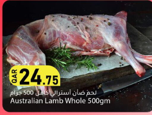 available at دانا ماركت in قطر - الشحانية