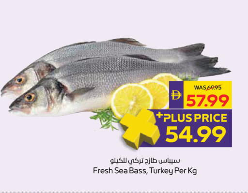 available at أدكووب in الإمارات العربية المتحدة , الامارات - ٱلْعَيْن‎