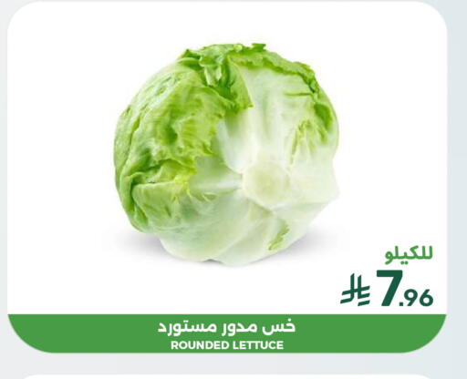Lettuce available at  مـزايــا in مملكة العربية السعودية, السعودية, سعودية - القطيف‎