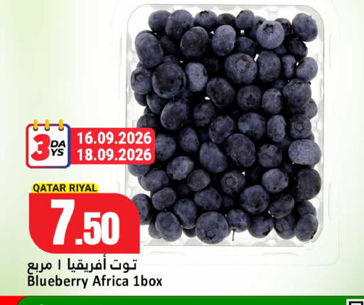 Blueberry BlueBerry from Qatar available at دانة هايبرماركت in قطر - الخور