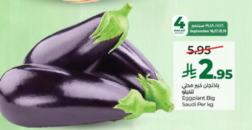 Eggplant from Saudi Arabia available at لولو هايبرماركت in مملكة العربية السعودية, السعودية, سعودية - حائل‎