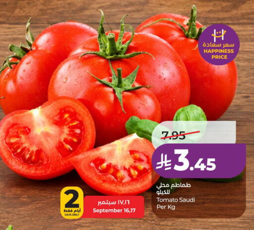 Tomato from Saudi Arabia available at لولو هايبرماركت in مملكة العربية السعودية, السعودية, سعودية - الأحساء‎