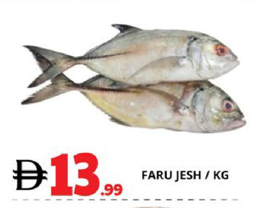 available at EXPRESS AL MADEENA HYPERMARKET LLC in UAE - Abu Dhabi