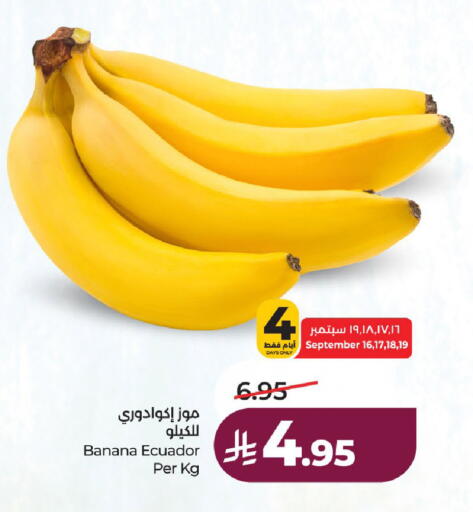 Banana from Ecuador available at لولو هايبرماركت in مملكة العربية السعودية, السعودية, سعودية - حائل‎