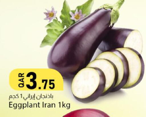 Eggplant from Iran available at دانا ماركت in قطر - الشحانية