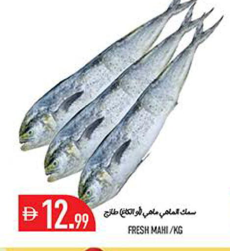 available at Rawabi Market Ajman in UAE - Sharjah / Ajman