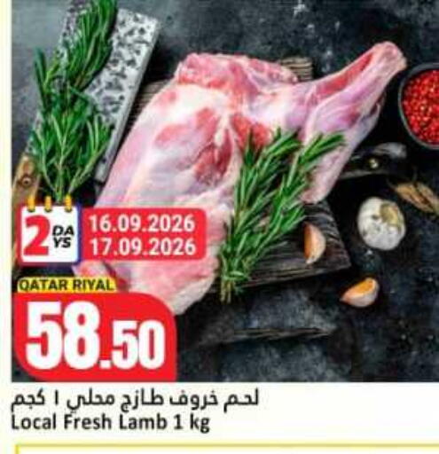 available at دانة هايبرماركت in قطر - الخور